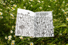 Ben El Halawany a.k.a. El Bebbe Grande