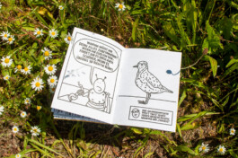 Ben El Halawany a.k.a. El Bebbe Grande