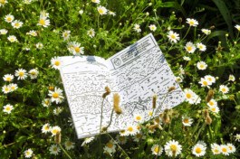 Ben El Halawany a.k.a. El Bebbe Grande