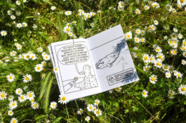 Ben El Halawany a.k.a. El Bebbe Grande