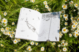 Ben El Halawany a.k.a. El Bebbe Grande