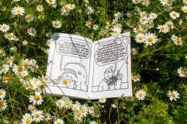 Ben El Halawany a.k.a. El Bebbe Grande